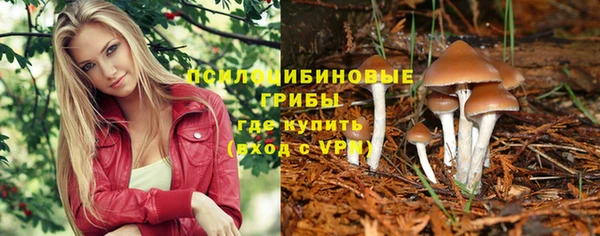 СК Абдулино