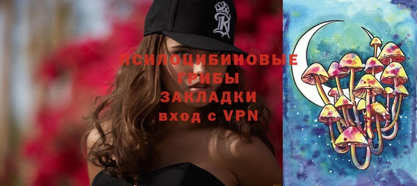 винт Нея