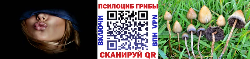 omg зеркало  Абинск  Псилоцибиновые грибы мухоморы 